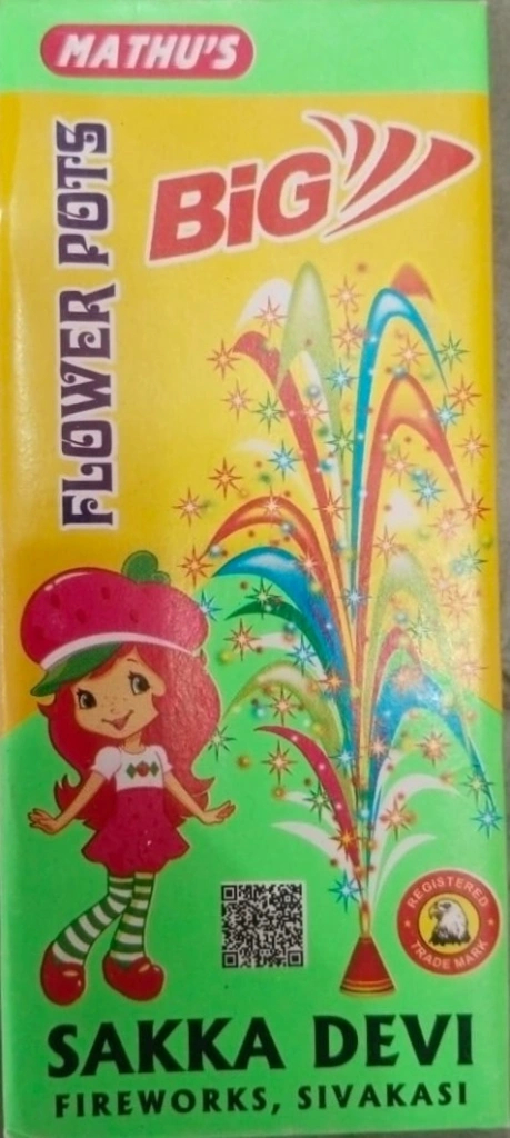 FlowerPotsBig